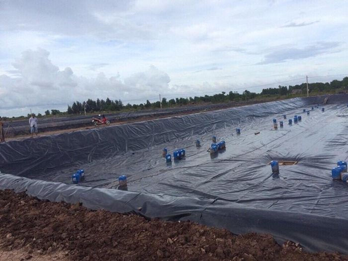 bạt lót hồ nuôi tôm 1