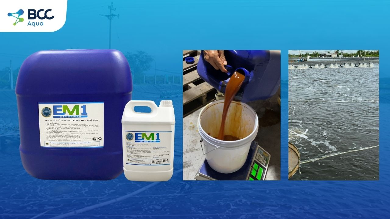 Dòng men vi sinh EM1 dạng nước đậm đặc