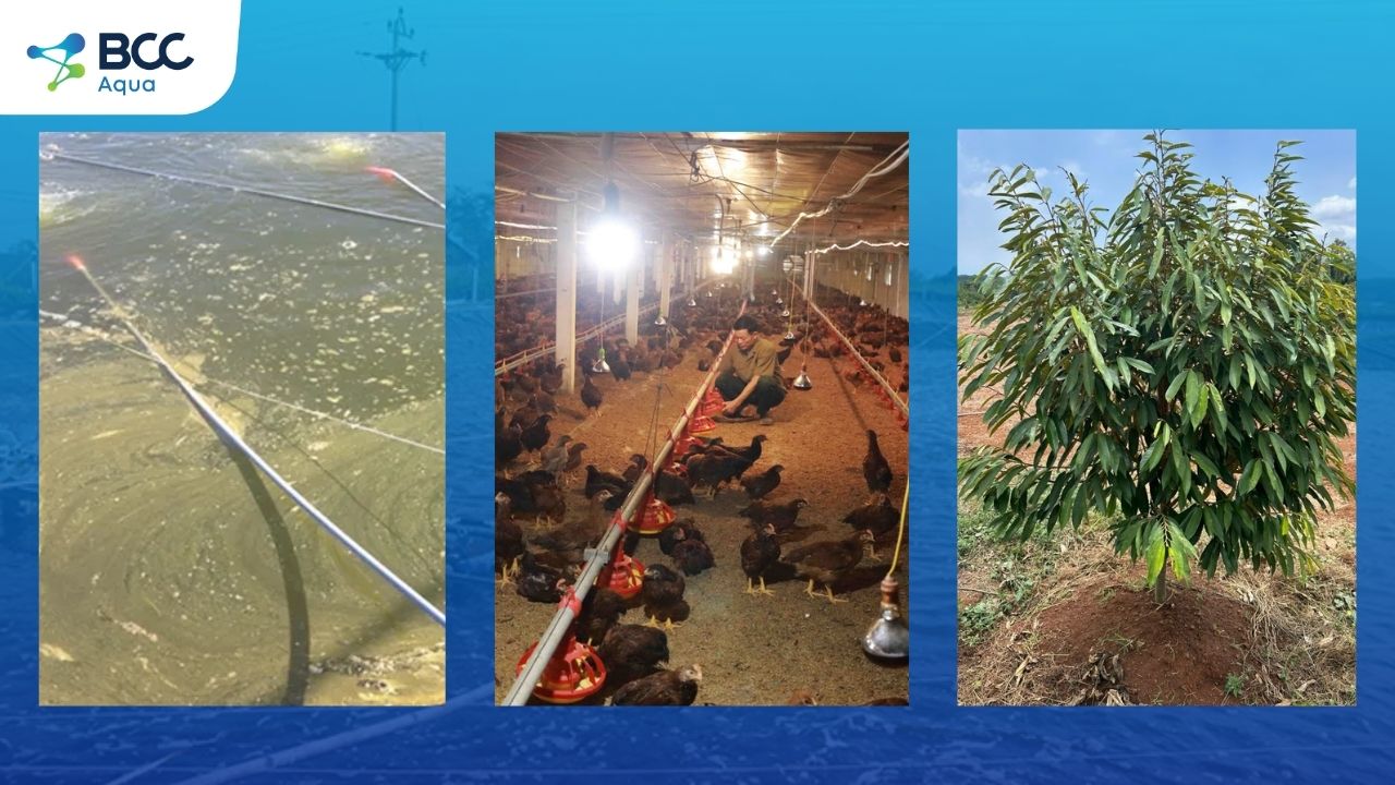 Môi trường bà con thường gặp phải hiện nay